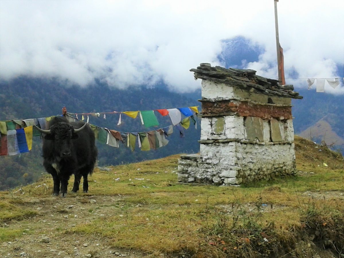 Arunachal Pradesh Reisbegeleider Hans